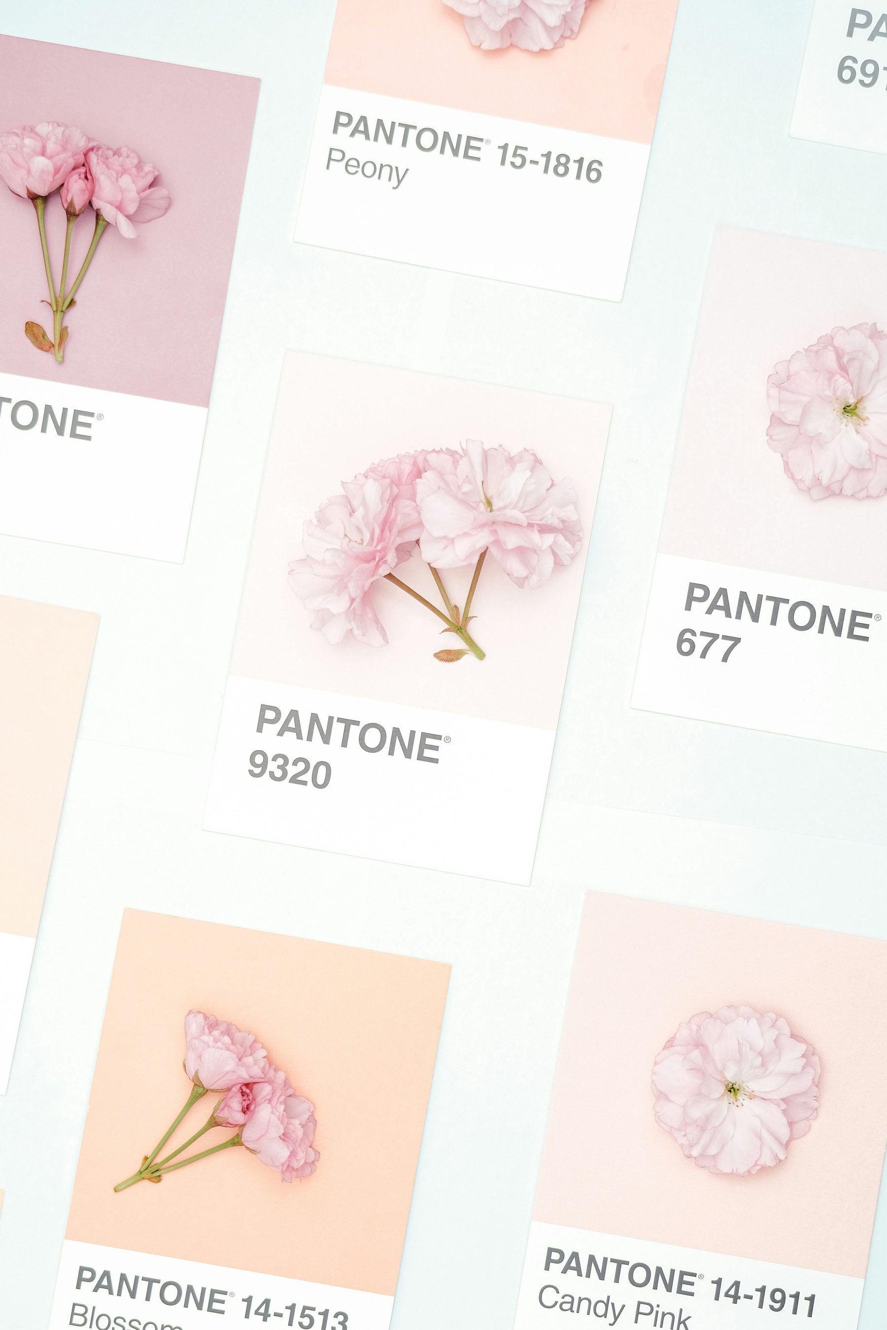 Pink floral cards and gifts